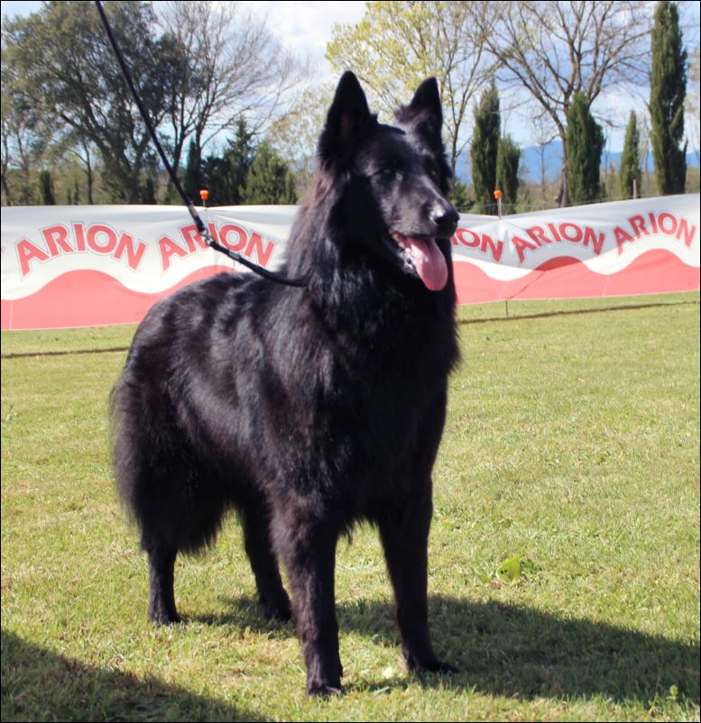 26-nadine de belliamici